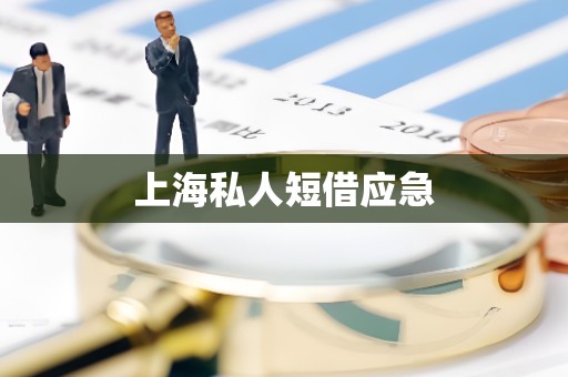 上海私人短借应急