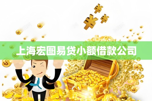 上海宏图易贷小额借款公司