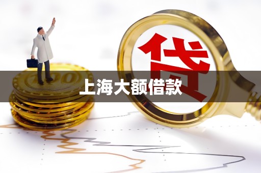 上海大额借款 上海大额借款