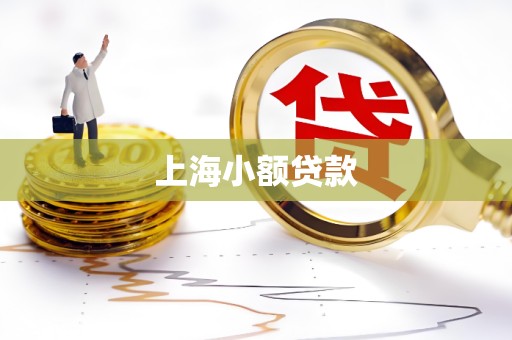上海小额贷款